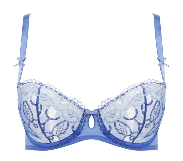 darjeeling-gilda-soutien-gorge-corbeille-femme-bleu-90c image 1