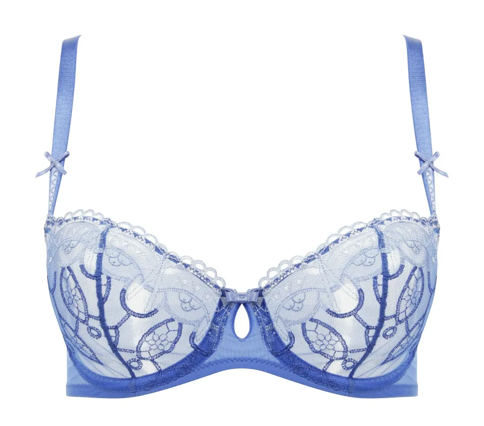 darjeeling-gilda-soutien-gorge-corbeille-femme-bleu-90c image 1