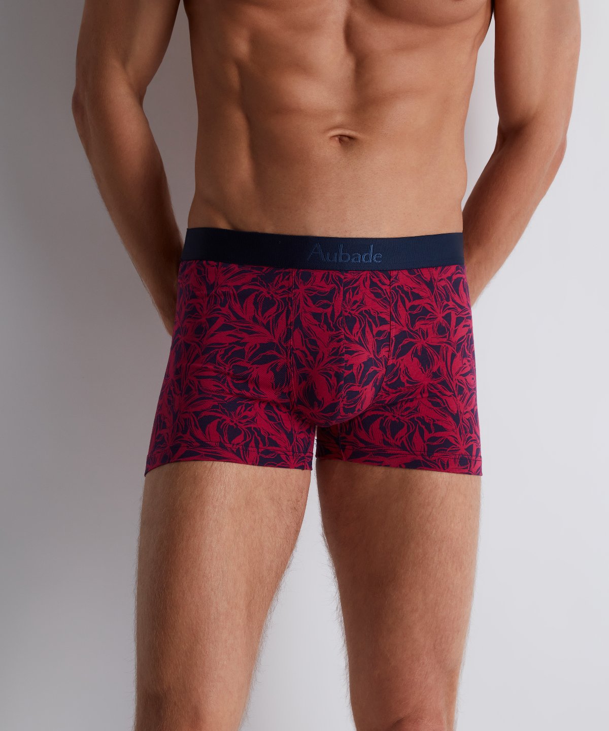 aubade-homme-pack-2-boxers-fairy-bloom-noir image 3