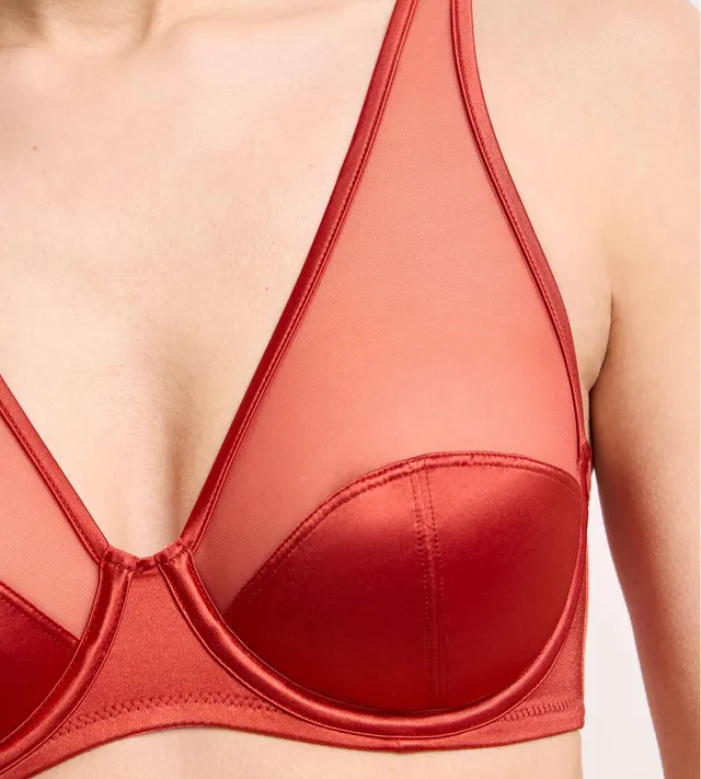 dim-x-ines-de-la-fressange-soutien-gorge-armatures-cannelle-pic-e image 1