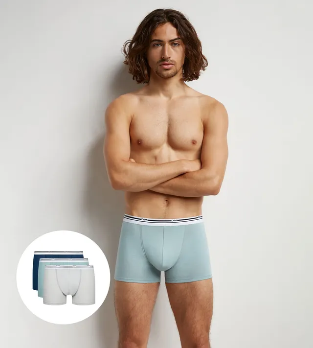 dim-classic-colors-bleu-gris-lot-de-3-boxers-coton-stretch-homme image 1