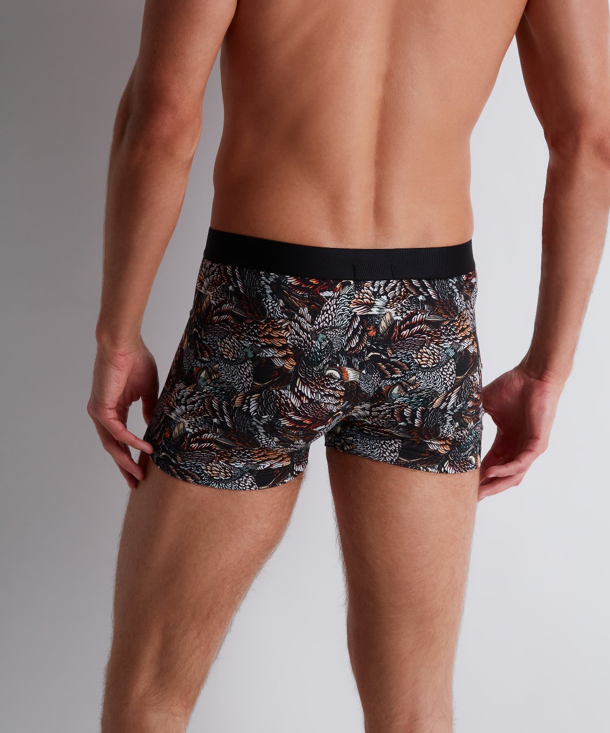 aubade-homme-boxer-owls-en-coton-modal image 5
