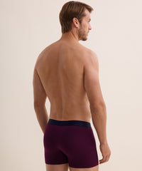 aubade-homme-pack-2-boxers-fleur-de-boteh-bordeaux-2 image 8