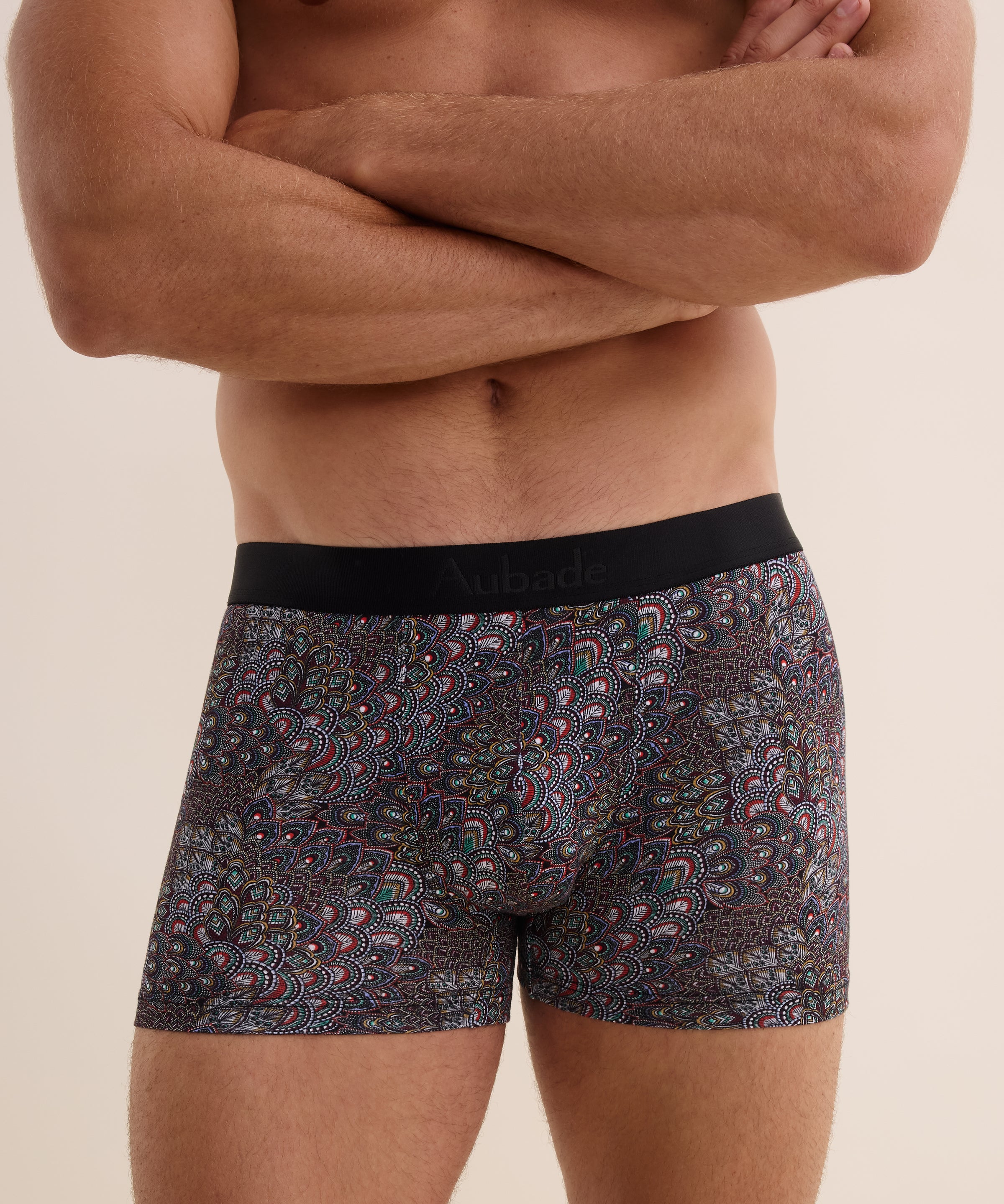 aubade-homme-boxer-persepolis image 3