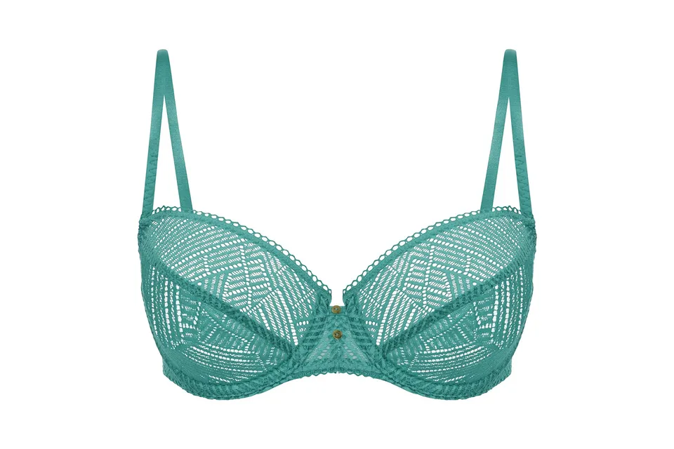 darjeeling-gloria-soutien-gorge-corbeille-dentelle-graphique-femme-vert-95g image 1